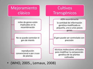 Mejoramiento                    Cultivos
     clásico                    Transgénicos
                                      ADN recombinante
       miles de genes están       la cantidad de información
         implicados en la           genética modificada es
          recombinación           pequeña, uno o unos pocos
                                             genes


     No se puede controlar el   El gen puede ser controlado con
          gen de interés                   precisión



                                técnicas moleculares utilizadas
          reproducción
                                para modificar la composición
     convencional o por cruce
                                    genética de las plantas
            de plantas
                                          cultivadas

• (WHO, 2005., Lemaux, 2008)
 