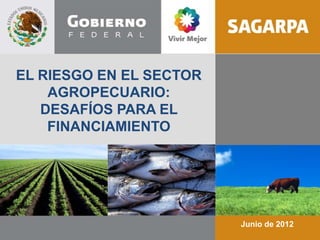 EL RIESGO EN EL SECTOR
    AGROPECUARIO:
   DESAFÍOS PARA EL
    FINANCIAMIENTO




                         Junio de 2012
 