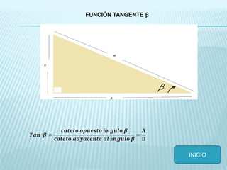 INICIO
FUNCIÓN TANGENTE β
 