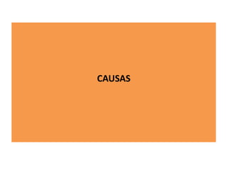 CAUSAS
 