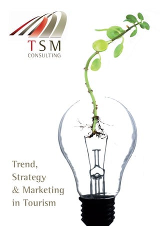 CONSULTING




Trend,
Strategy
& Marketing
in Tourism
 
