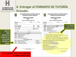 4. Entregar el FORMATO DE TUTORÍA
firmado:
Aquí se
debe
señalar por
medio de un
círculo qué
optativa se
desea:
Si se reprobó una o más materias,
se deben anotar aquí:
Y se debe
anotar acá:
 