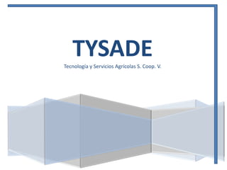 TYSADE
Tecnología y Servicios Agrícolas S. Coop. V.

 
