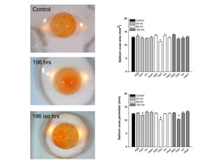 Control




                                                                           196 hrs




                                 196 iso hrs
                  Salmon ovas perimeter (mm)                                  Salmon ovas area (mm 2)
                                                                       0
                                                                                     5
                                                                                         10
                                                                                                15
                                                                                                        20




              0
                     5
                            10
                                               15
                                                      20




    PB                                                         PB
        S                                                          S
H                                                          H
     ip                                                         ip
                                                                   o
                                                                                                 48 hrs
                                                                                                 24 hrs




        o
                                                48 hrs
                                                24 hrs




                                       *
                                                                                                 Control




                                                Control
                                                                                                 192 hrs




                                                192 hrs




     Is                                                         Is
        o                                                          o
H                                                          H
    ip                                                      ip
         er                                                    er
PB                                                         PB
   S                                                           S
H                                                          H
  ip                                                         ip
                             *




     o                                                          o
     Is                                                         Is
        o                                                          o
H                                                          H
 ip                                                         ip
    er                                                         er
PB                                                         PB
    S                                                          S
H                                                          H
   ip                                                         ip
                                                                 o
                                  *




      o
     Is                                                         Is
        o                                                          o
H                                                          H
    ip                                                         ip
       er                                                         er
 