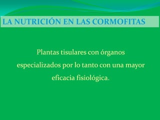 LA NUTRICIÓN EN LAS CORMOFITAS
Plantas tisulares con órganos
especializados por lo tanto con una mayor
eficacia fisiológica.
 