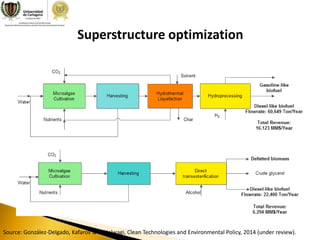 Process Optimization Applied to Biofuels production and Development of ...