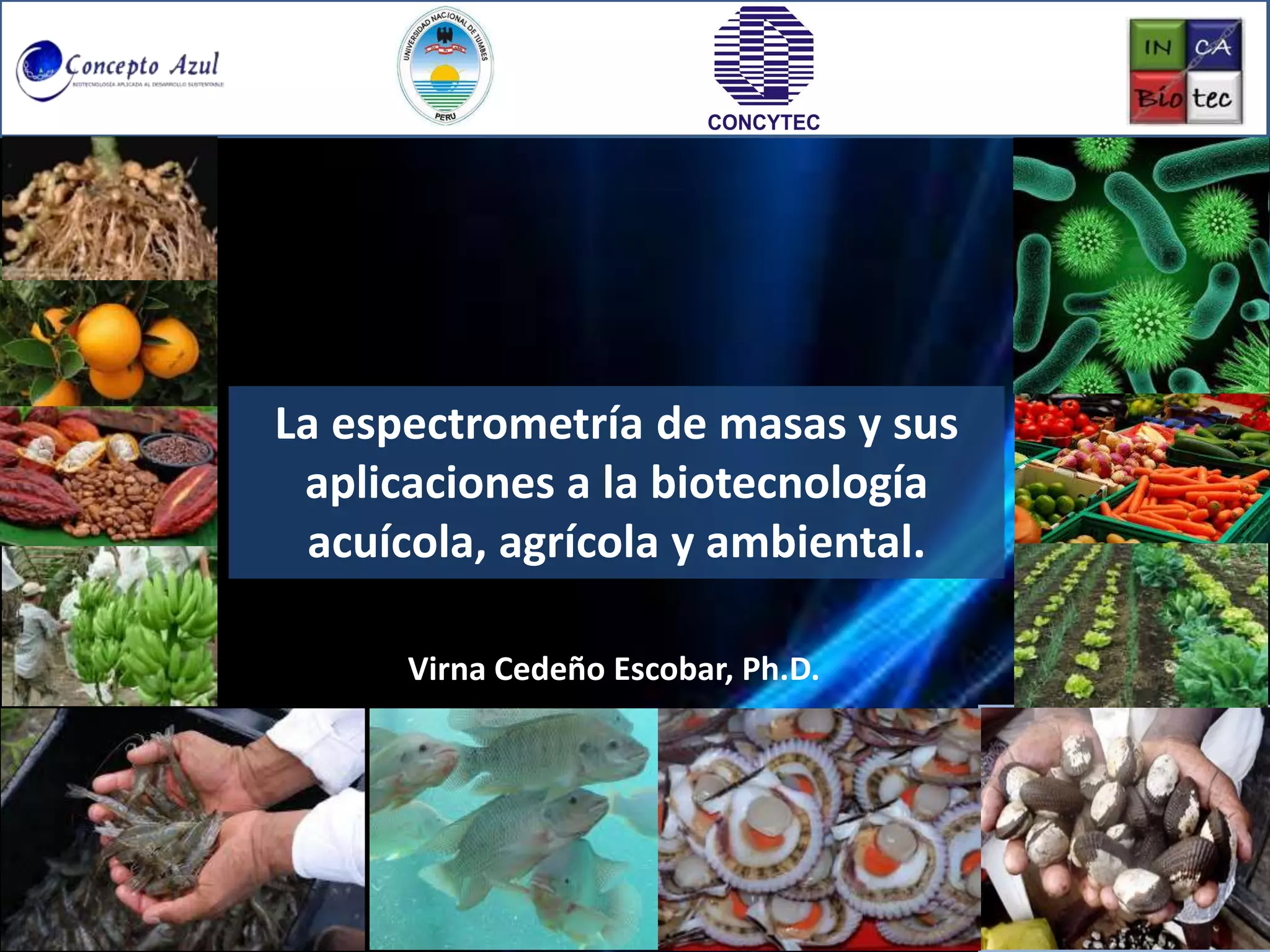 La espectrometría de masas y sus aplicaciones a la biotecnología ...