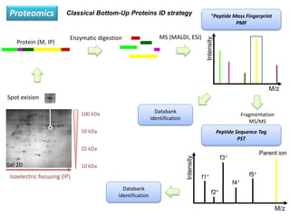La espectrometría de masas y sus aplicaciones a la biotecnología ...
