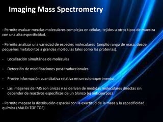 La espectrometría de masas y sus aplicaciones a la biotecnología ...
