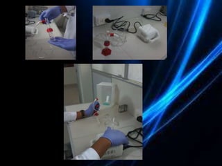La espectrometría de masas y sus aplicaciones a la biotecnología ...