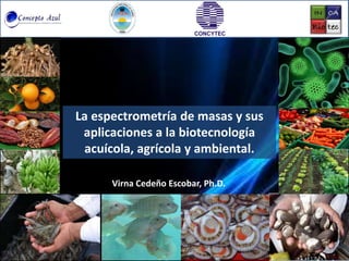 La espectrometría de masas y sus 
aplicaciones a la biotecnología 
acuícola, agrícola y ambiental. 
Virna Cedeño Escobar, Ph.D. 
 