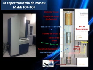 La espectrometría de masas y sus aplicaciones a la biotecnología acuícola, agrícola y ambiental.