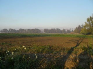 PICHILEMU CHIMBARONGO PEUMO QTA DE TILCOCO MALLOA NANCAGUA SANTA CRUZ LOLOL 