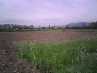 PICHILEMU CHIMBARONGO PEUMO REQUINOA QTA DE TILCOCO DOÑIHUE MALLOA NANCAGUA SANTA CRUZ LOLOL LAGO RAPEL 