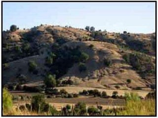 PICHILEMU CHIMBARONGO LOLOL NANCAGUA SANTA CRUZ 