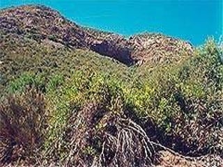 PICHILEMU CHIMBARONGO LOLOL 