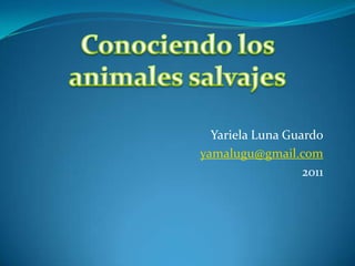 Yariela Luna Guardo
yamalugu@gmail.com
                  2011
 