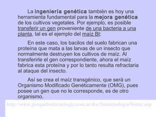 <ul><li>La  ingeniería genética  también es hoy una herramienta fundamental para la  mejora genética  de los cultivos vege...