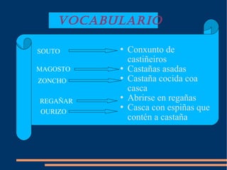 VOCABULARIO
 Conxunto de
castiñeiros
 Castañas asadas
 Castaña cocida coa
casca
 Abrirse en regañas
 Casca con espiñas que
contén a castaña
SOUTO
ZONCHO
MAGOSTO
REGAÑAR
OURIZO
 