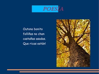 POESÍA
Outono bonito
folliñas no chan
castañas asadas.
Que ricas están!
 