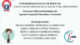 UNIVERSIDAD ESTATAL DE BOLÍVAR
FACULTAD DE CIENCIAS DE LA SALUD Y DEL SER HUMANO
Estructura Histo-Embriológica del
Aparato Urogenital Masculino y Femenino.
INTEGRANTES:
SELINA MARISOL TENELEMA LLUMIGUANO
KERLY SHELENA NUÑEZ VINUEZA
HEIDY CARIDAD ZAMBRANO PEREZ
KATY LIZETH VARGAS MORETA
NATALY GUISSELA SISA SISA
 