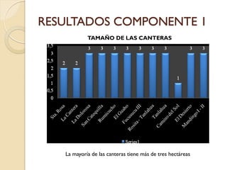 RESULTADOS COMPONENTE 1
            TAMAÑO DE LAS CANTERAS




   La mayoría de las canteras tiene más de tres hectáreas
 