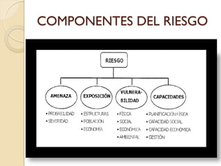 COMPONENTES DEL RIESGO
 