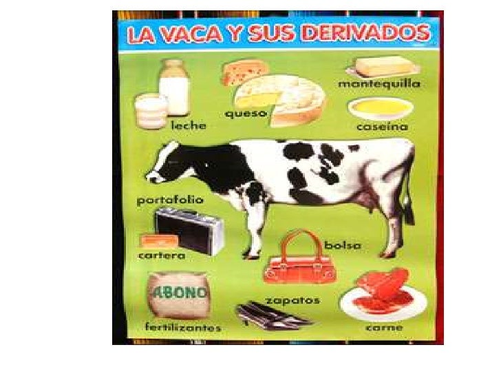 Presentación vaca