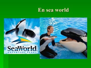 En sea world   