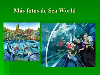 Más fotos de Sea World 