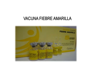 VACUNA FIEBRE AMARILLA
 