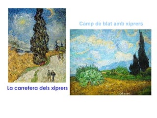 La carretera dels xiprers
Camp de blat amb xiprers
 
