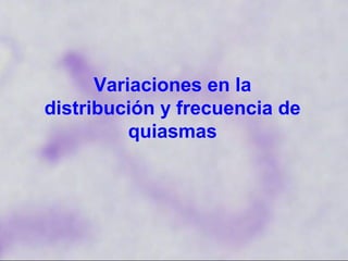 Variaciones en la
distribución y frecuencia de
quiasmas
 