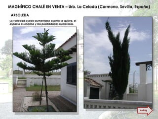 MAGNÍFICO CHALÉ EN VENTA – Urb. La Celada (Carmona, Sevilla, España) ARBOLEDA La variedad puede aumentarse cuanto se quiera, el espacio es enorme y las posibilidades numerosas. AvPág 