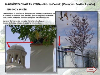 MAGNÍFICO CHALÉ EN VENTA – Urb. La Celada (Carmona, Sevilla, España) TERRENO Y JARDÍN La entrada a la parcela se flanquea por pilares a dos alturas, en la primera se sitúa un farol de obra, y en la segunda el remate con cenefa artesanal vidriada y soporte de barro cocido. La verja del tramo de entrada viene terminada por lanzas de forja y pilares de soporte intermedios. AvPág 