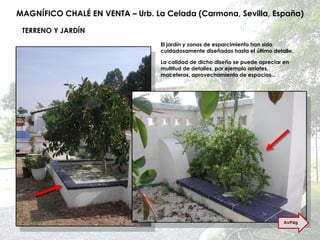 MAGNÍFICO CHALÉ EN VENTA – Urb. La Celada (Carmona, Sevilla, España) TERRENO Y JARDÍN El jardín y zonas de esparcimiento han sido cuidadosamente diseñadas hasta el último detalle. La calidad de dicho diseño se puede apreciar en multitud de detalles, por ejemplo arriates, maceteros, aprovechamiento de espacios... AvPág 