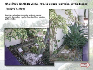 MAGNÍFICO CHALÉ EN VENTA – Urb. La Celada (Carmona, Sevilla, España) TERRENO Y JARDÍN Macetero lateral con pequeño jardín de cactus, cerquita de madera y varios tipos de chinos lavados policromados AvPág 