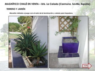 MAGNÍFICO CHALÉ EN VENTA – Urb. La Celada (Carmona, Sevilla, España) TERRENO Y JARDÍN Macetón vidriado a juego con el resto de la terminación y celosía para trepadora. AvPág 