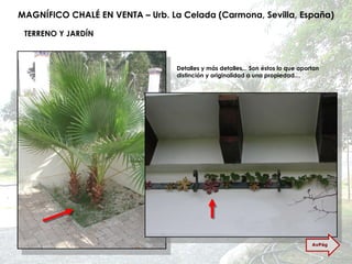MAGNÍFICO CHALÉ EN VENTA – Urb. La Celada (Carmona, Sevilla, España) TERRENO Y JARDÍN Detalles y más detalles... Son éstos lo que aportan distinción y originalidad a una propiedad… AvPág 