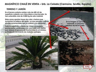 MAGNÍFICO CHALÉ EN VENTA – Urb. La Celada (Carmona, Sevilla, España) TERRENO Y JARDÍN En el terreno exterior existen más de 600 m2 de superficie cubierta con chino blanco machacado. Se han extendido más de 3.000 Kg de este material. Estas zonas aportan toque de color y textura que aumentan la belleza del jardín, ya que permiten cultivar plantas ornamentales que se realzan con vistosidad. Toda la superficie cubierta de chinos se prepara previamente cubriéndola con una malla anti-hierba que reduce el esfuerzo de mantenimiento al mínimo, evitando el crecimiento de molestos yerbajos. En la imagen se aprecia sobresalir un pequeño pedazo de dicha malla. AvPág 