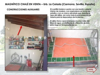 MAGNÍFICO CHALÉ EN VENTA – Urb. La Celada (Carmona, Sevilla, España) CONSTRUCCIONES AUXILIARES El cuartillo trastero cuenta con una bonita cubierta interior de madera, con respiraderos en forma de estrella y con un marco alicatado que delimita la tapa del aljibe, así como toda la preinstalación de tubería para la depuradora de la piscina. El aljibe tiene capacidad para muchos miles del litros de agua, posibilitando la utilización de ésta para riego en temporadas secas. AvPág 