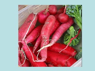 Presentación verduras