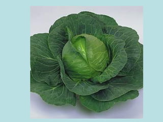 Presentación verduras