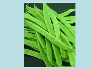 Presentación verduras