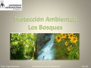 Proteccion Ambiental: Los Bosques