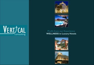 Profit from our Experience
WELLNESS in Luxury Hotels
 