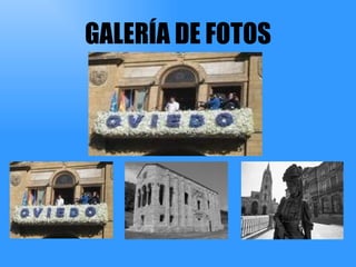 GALERÍA DE FOTOS 