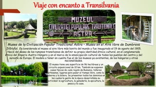 Viaje con encanto a Transilvania
Museo de la Civilización Popular Tradicional Astra – Museo en el Aire libre de Dumbrava
Sibiului. Es considerado el museo al aire libre más bonito del mundo y fue inaugurado el 19 de agosto del 1905.
Nació del deseo de los rumanos transilvanos de definir su propia identidad étnico-cultural, en el conglomerado
étnico del Imperio Austro-Húngaro y en el marco de la emancipación cultural de todos los pueblos del centro y del
sureste de Europa. El modelo a tener en cuenta fue el de los museos ya existentes, de los húngaros y otras
nacionalidades.
El museo tiene una superficie de 96 hectáreas y un
circuito exposicional de 10 km. También se exponen
casas típicas de cada región de Rumania, talleres
artesanos, lugares para pasar el tiempo libre, como la
taberna y la bolera. Se presentan todos los dominios en
los cuales la gente de la época desarrollaba su
actividad: la agricultura, la ganadería, la apicultura, la
pesca y la caza.
 