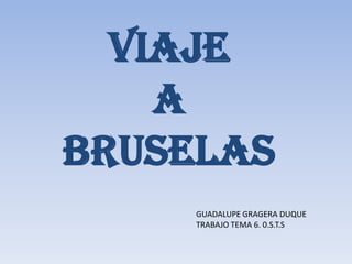 VIAJE
    A
BRUSELAS
     GUADALUPE GRAGERA DUQUE
     TRABAJO TEMA 6. 0.S.T.S
 