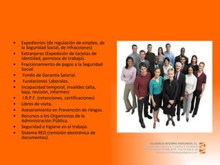 Expedientes (de regulación de empleo, de la Seguridad Social, de infracciones) Extranjeros (Expedición de tarjetas de identidad, permisos de trabajo). Fraccionamiento de pagos a la Seguridad Social. Fondo de Garantía Salarial. Fundaciones Laborales. Incapacidad temporal, Invalidez (alta, baja, revisión, informes) I.R.P.F. (retenciones, certificaciones) Libros de visita. Asesoramiento en Prevención de riesgos. Recursos a los Organismos de la Administración Pública. Seguridad e higiene en el trabajo. Sistema RED (remisión electrónica de documentos). 